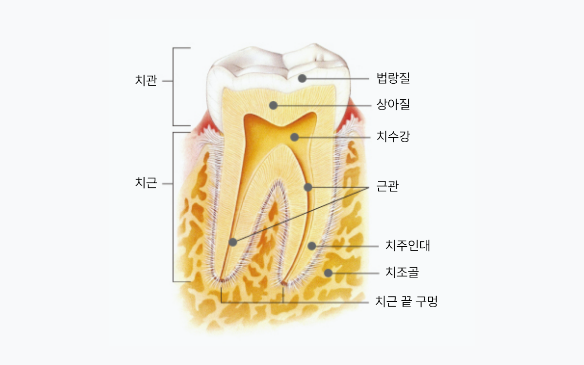Duration